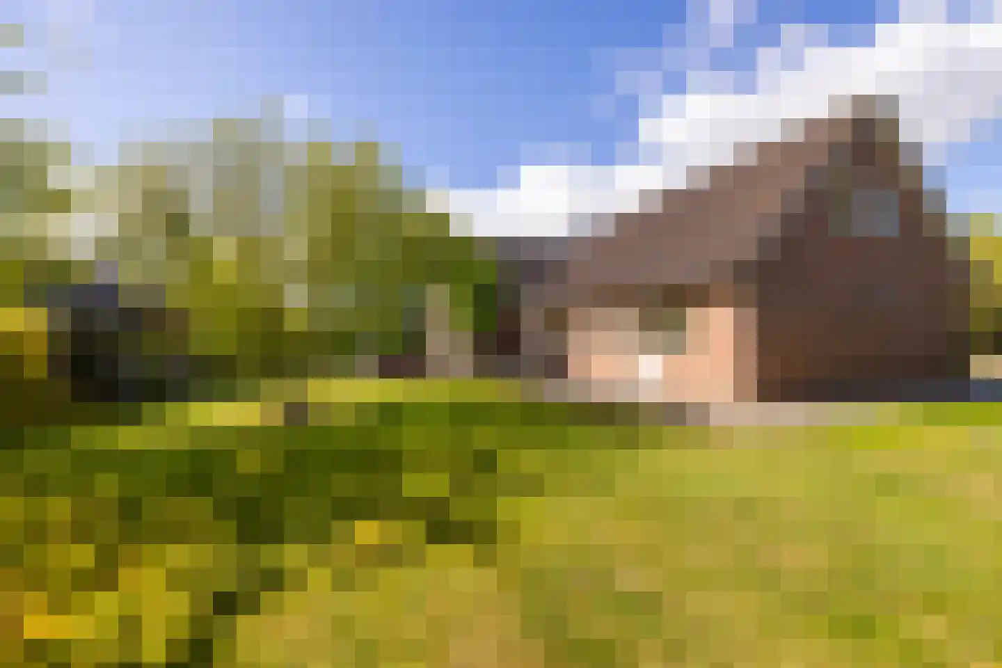 Peezeweg 7 Dalfsen thumbnail 70