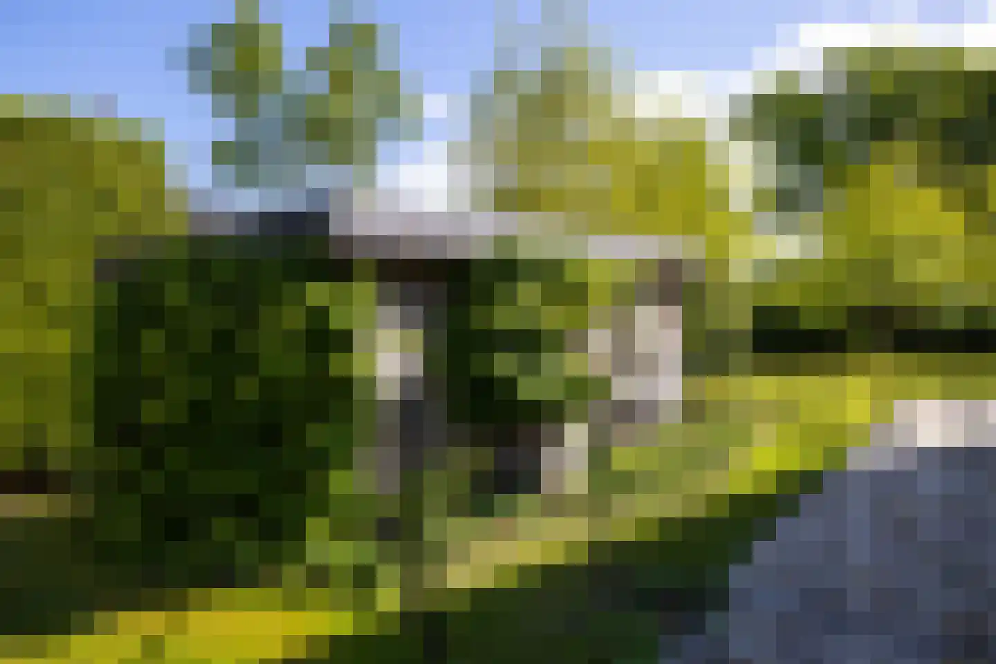 Peezeweg 7 Dalfsen thumbnail 71
