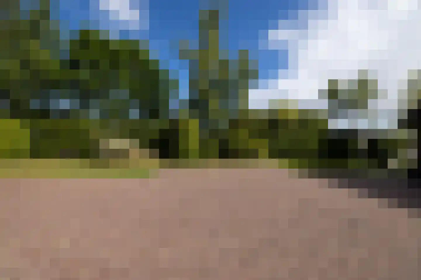 Peezeweg 7 Dalfsen thumbnail 72