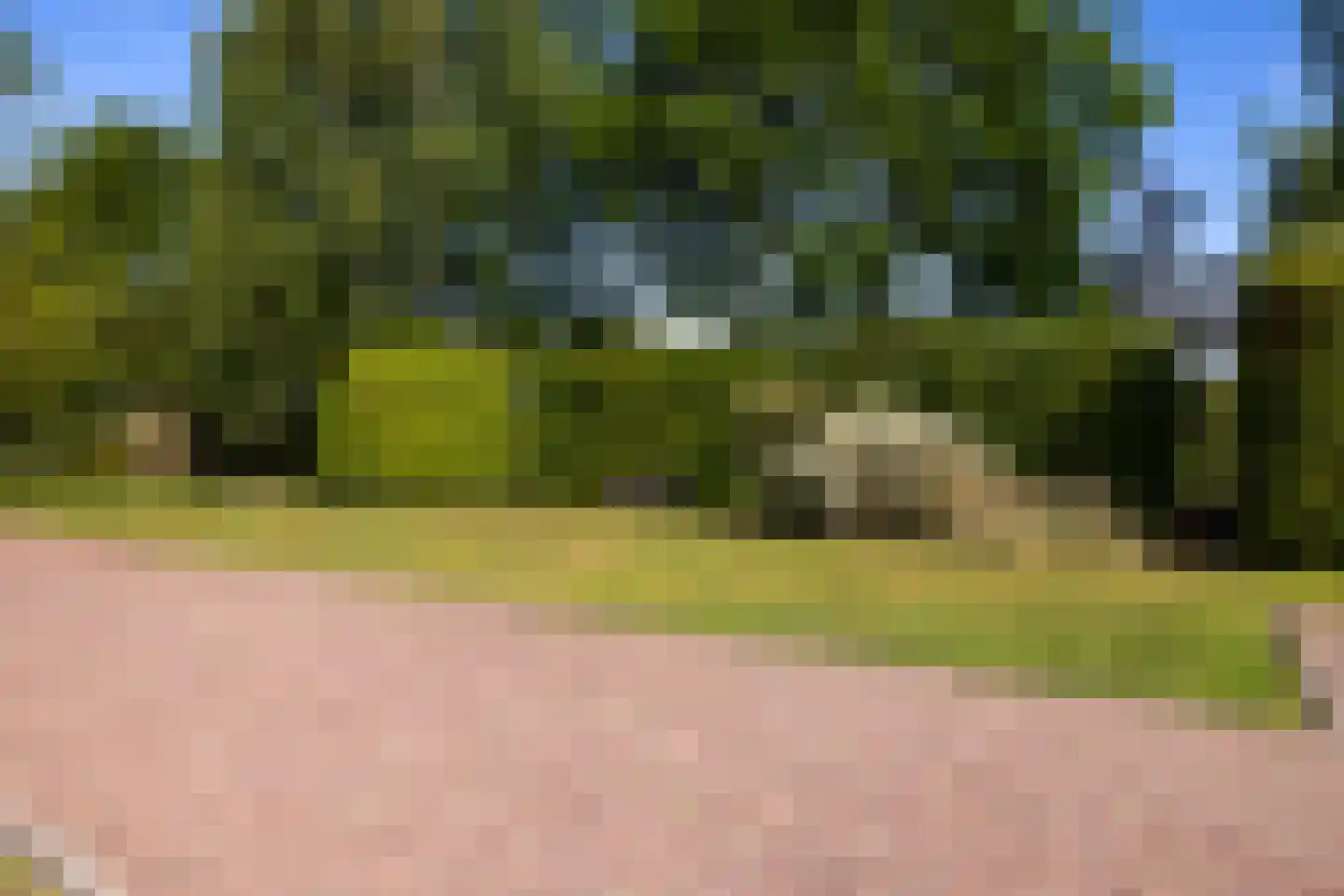 Peezeweg 7 Dalfsen thumbnail 73