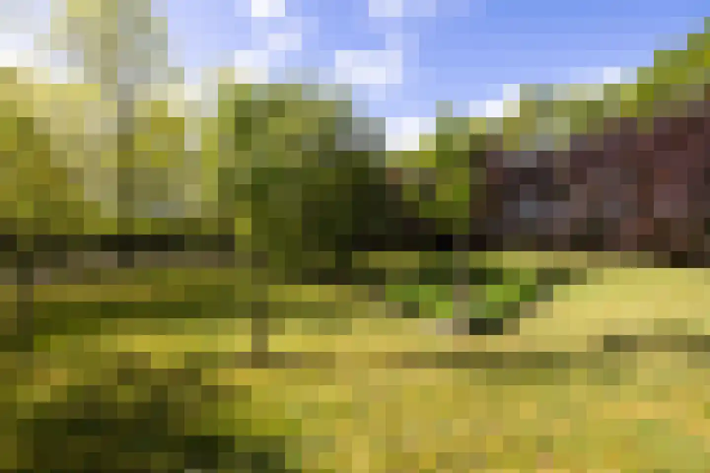 Peezeweg 7 Dalfsen thumbnail 75