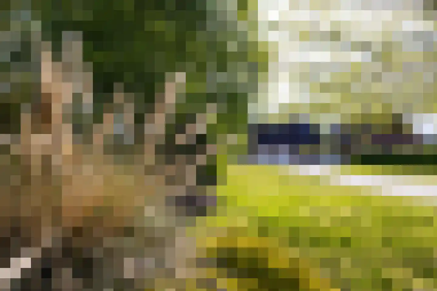 Peezeweg 7 Dalfsen thumbnail 76