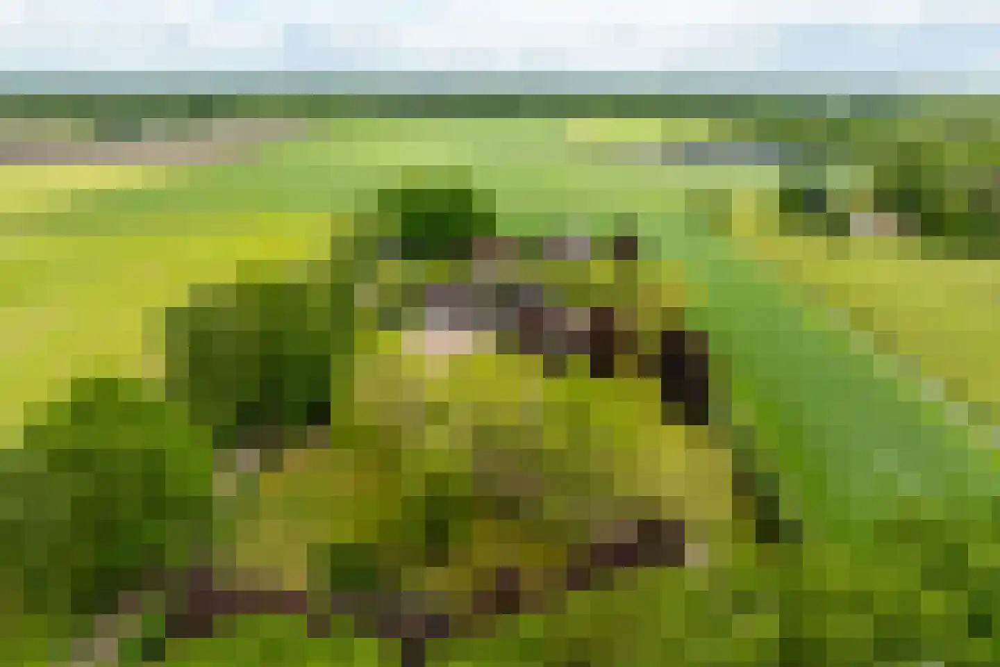 Peezeweg 7 Dalfsen thumbnail 77
