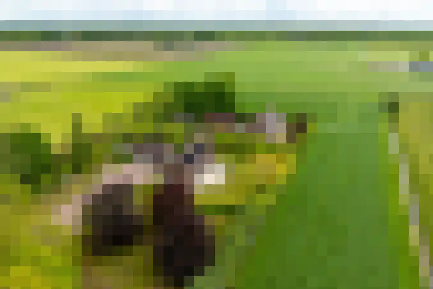 Peezeweg 7 Dalfsen thumbnail 78