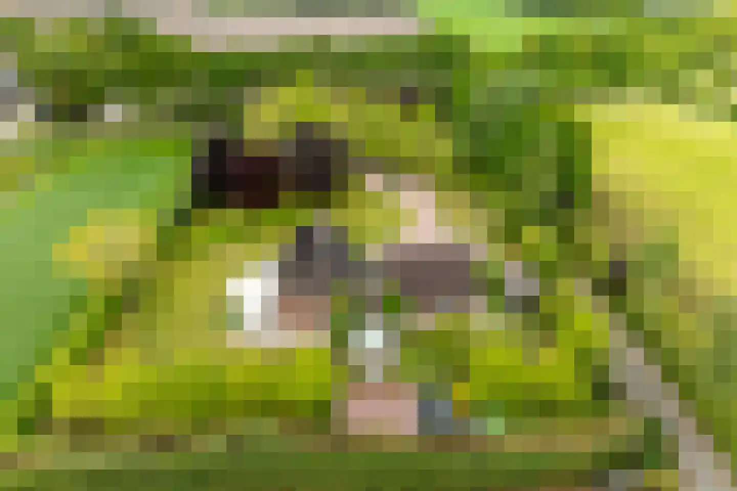 Peezeweg 7 Dalfsen thumbnail 79