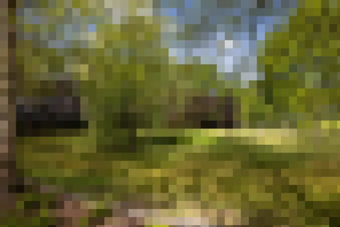 Peezeweg 7 Dalfsen thumbnail 8