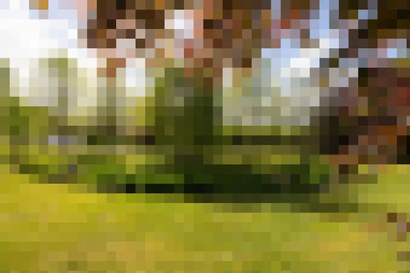 Peezeweg 7 Dalfsen thumbnail 9