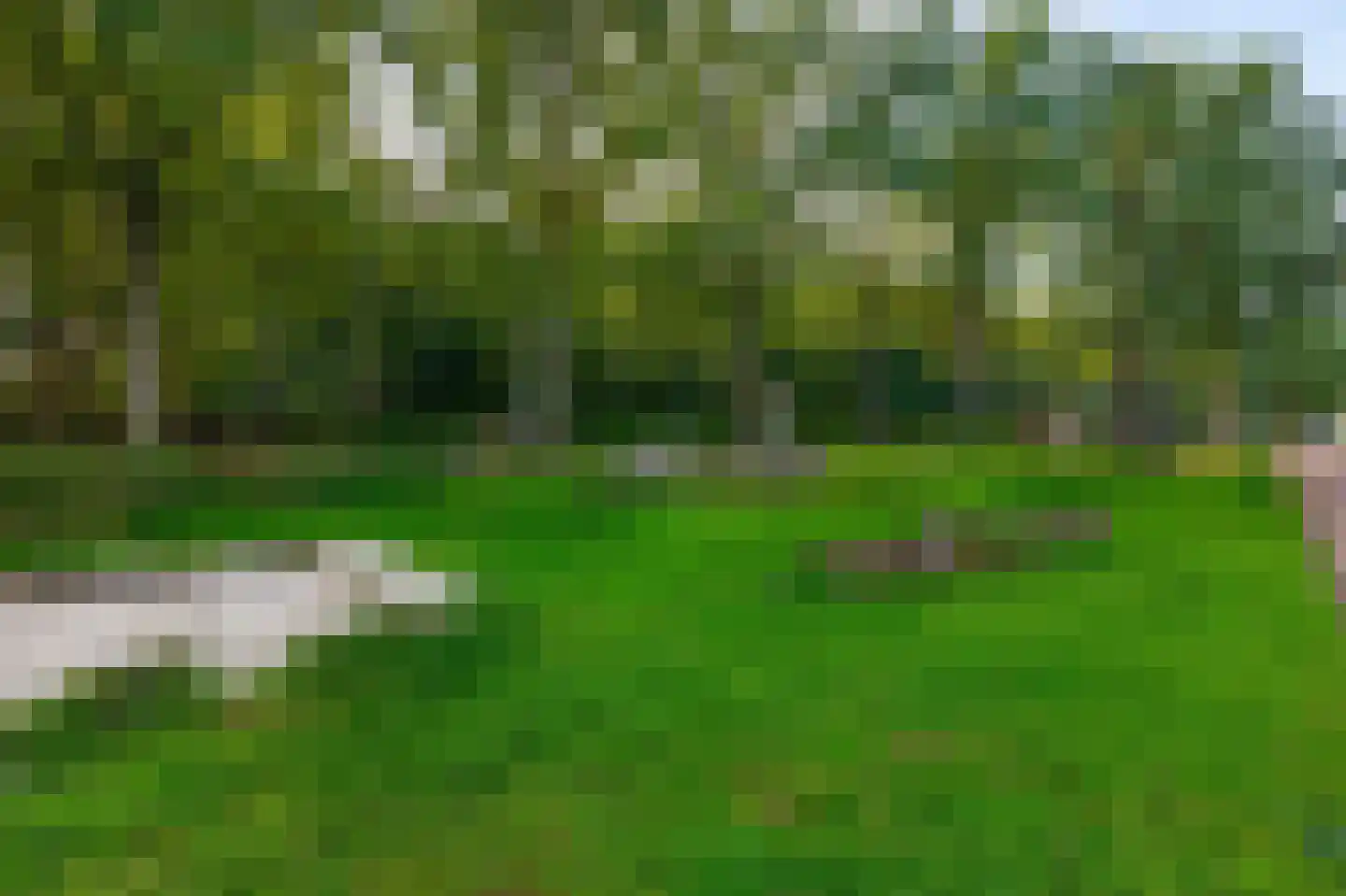 Pegasus 10 Schijndel thumbnail 14