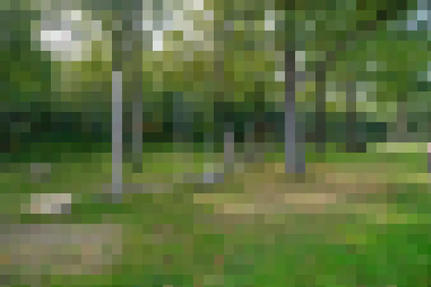 Pegasus 10 Schijndel thumbnail 15