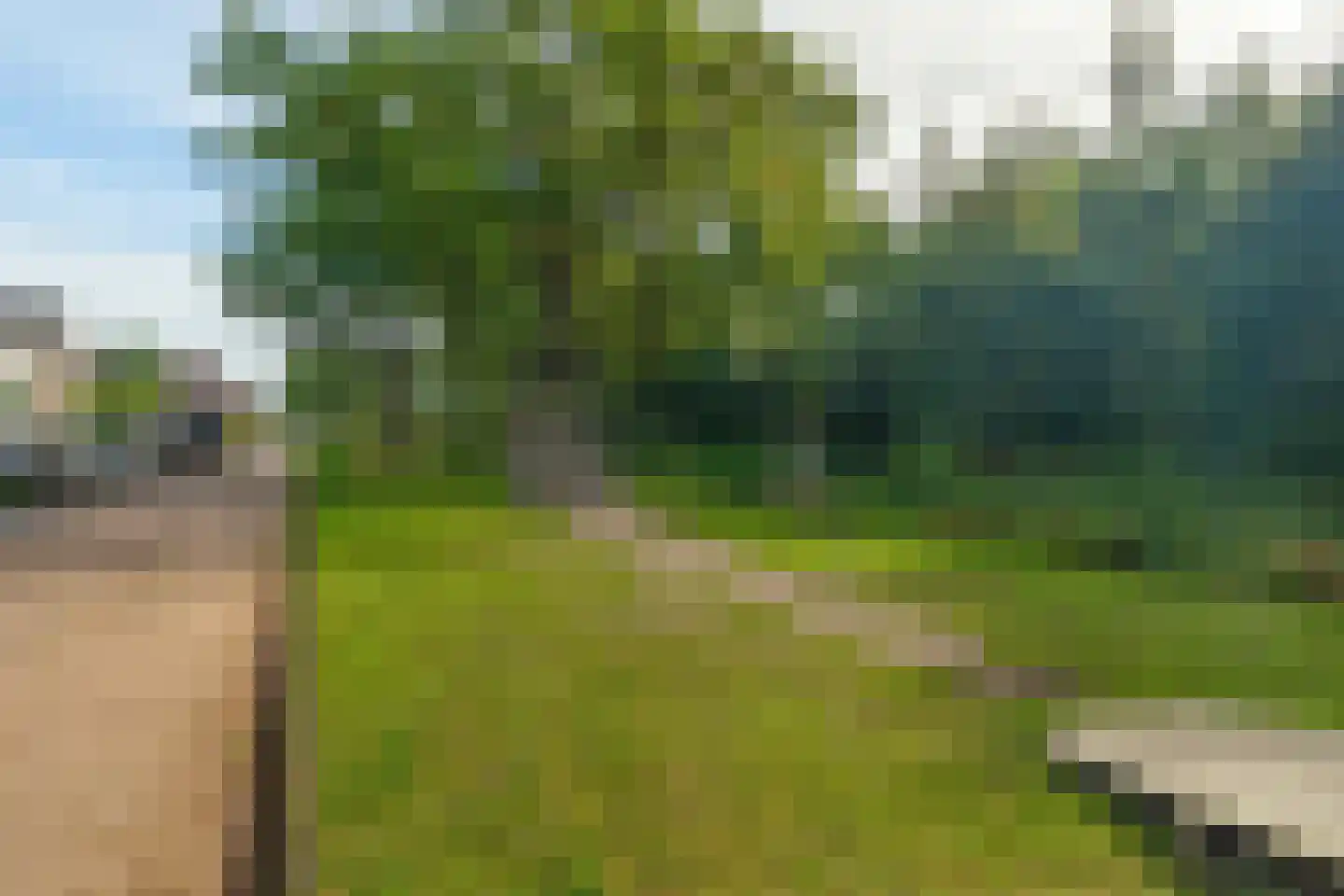 Pegasus 10 Schijndel thumbnail 16