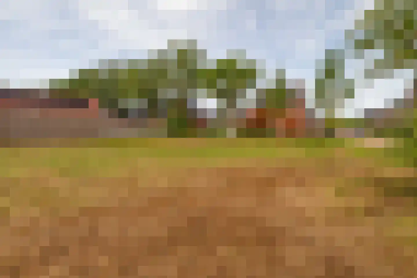 Pegasus 10 Schijndel thumbnail 18
