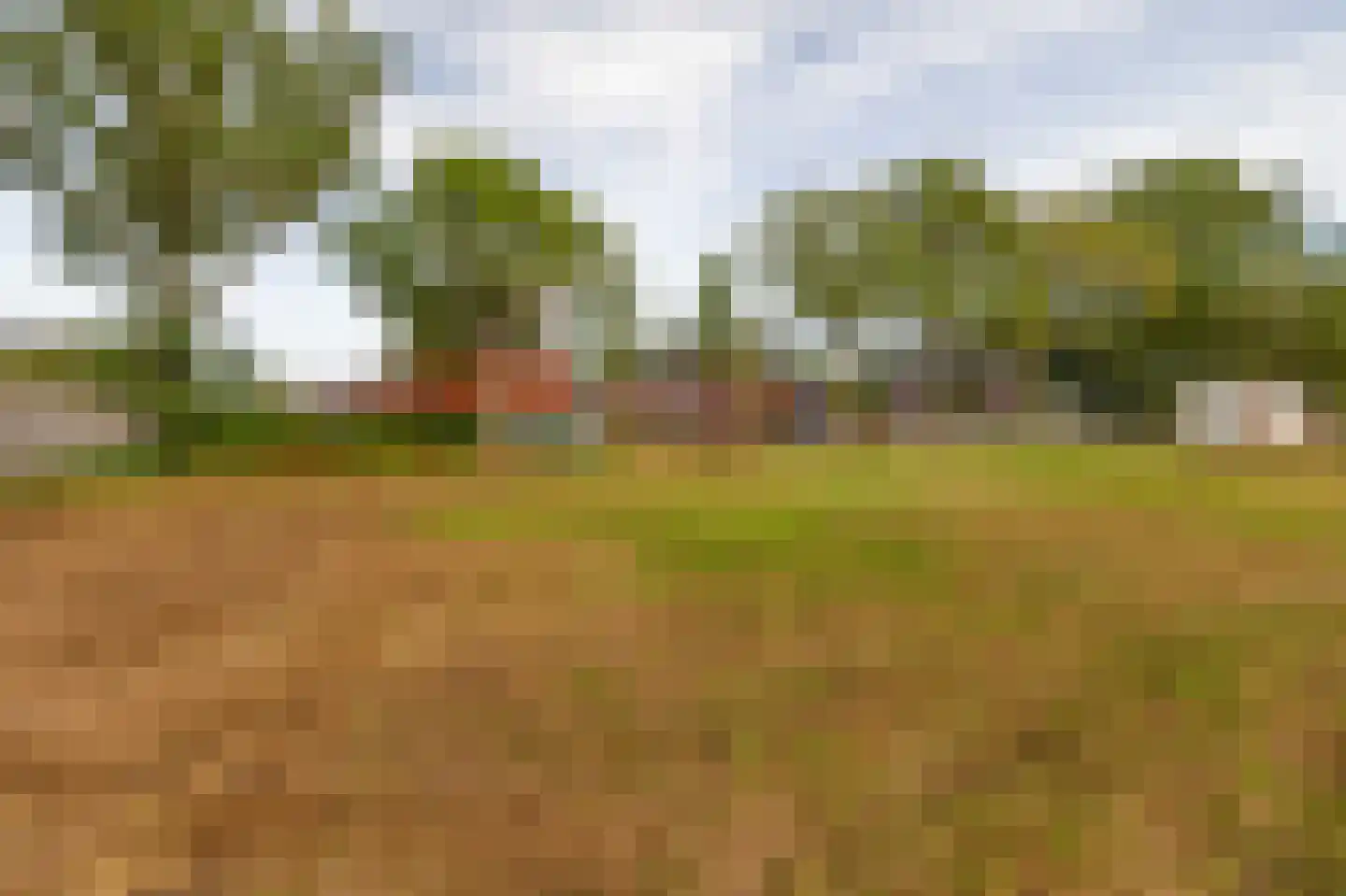 Pegasus 10 Schijndel thumbnail 19