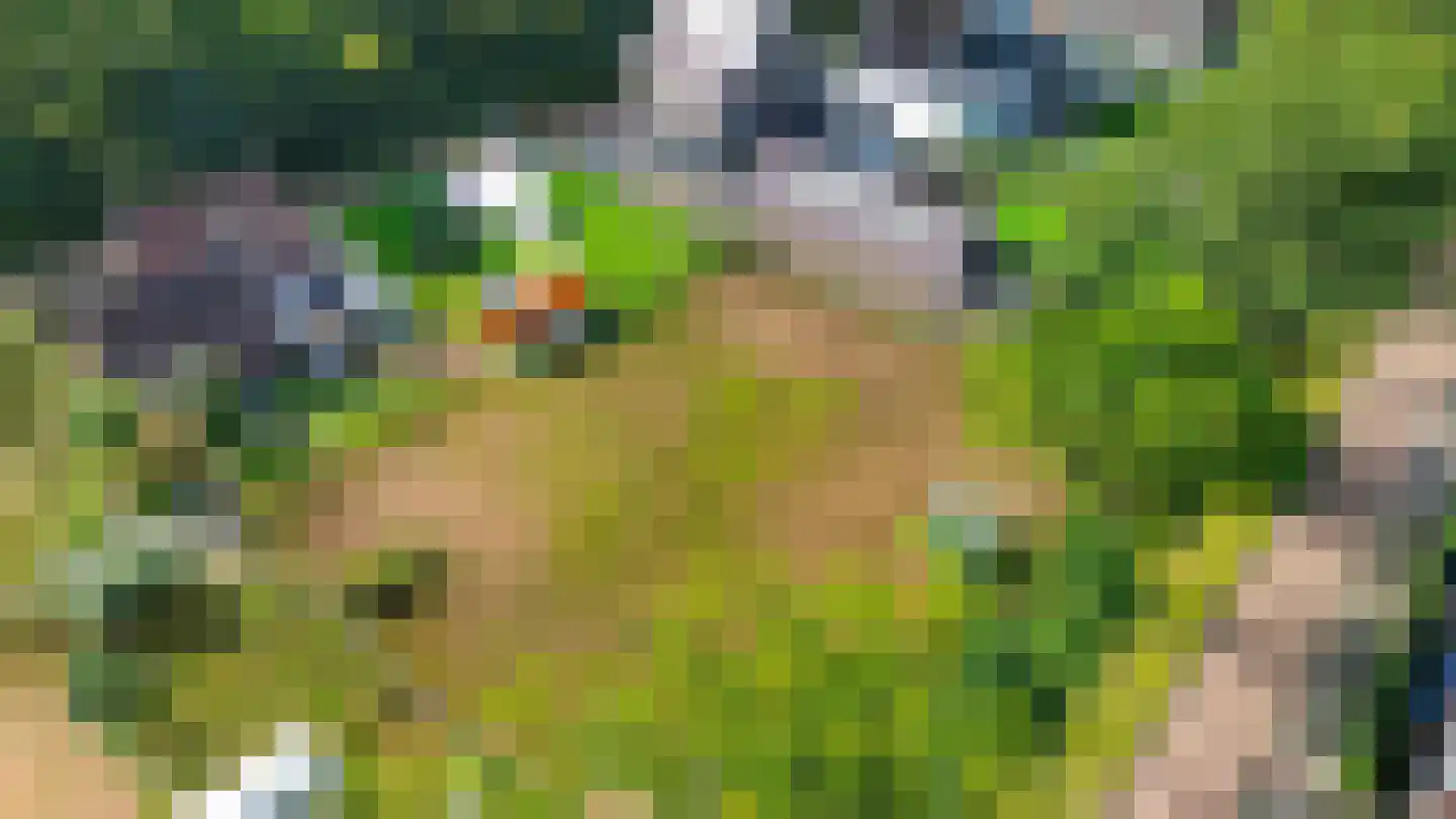 Pegasus 10 Schijndel thumbnail 20