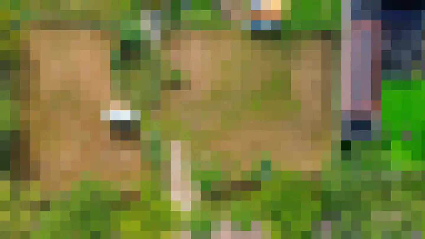 Pegasus 10 Schijndel thumbnail 4