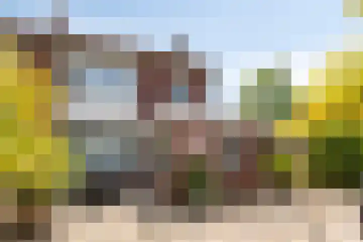 Pegasus 16 Veldhoven thumbnail 20