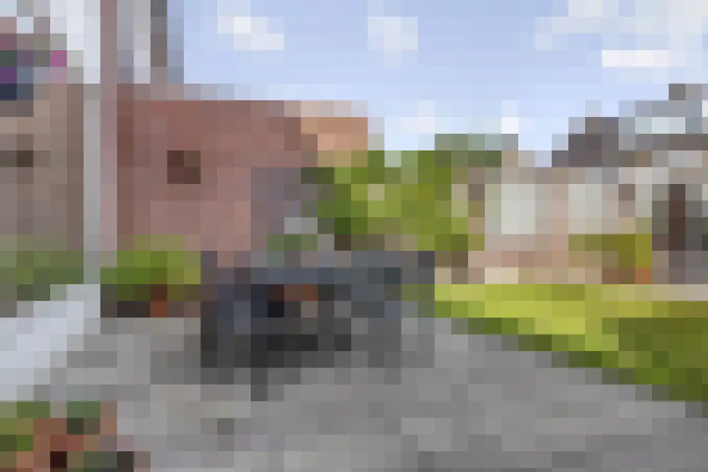 Pegasus 22 Veldhoven thumbnail 27