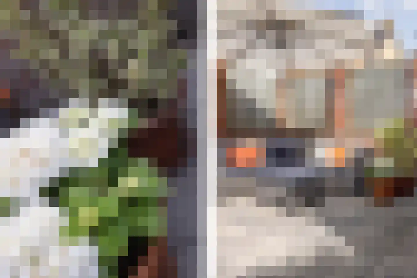 Pegasus 22 Veldhoven thumbnail 31