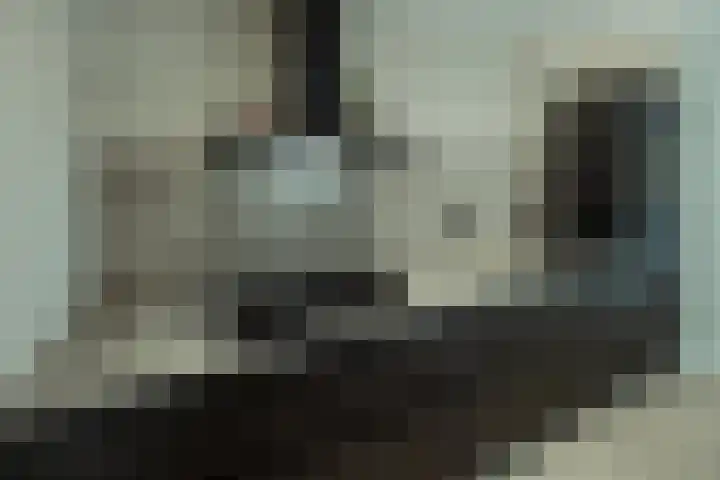 Pegasus 26 Veldhoven thumbnail 13