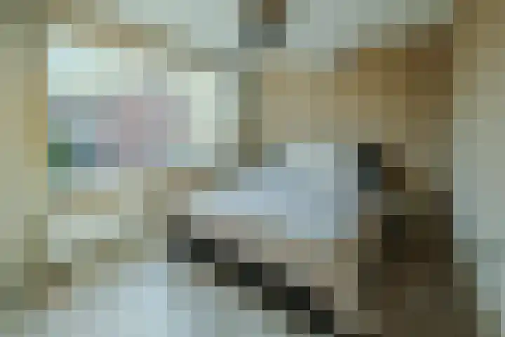 Pegasus 26 Veldhoven thumbnail 18