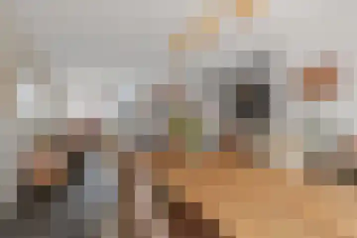 Pegasus 29 Veldhoven thumbnail 13