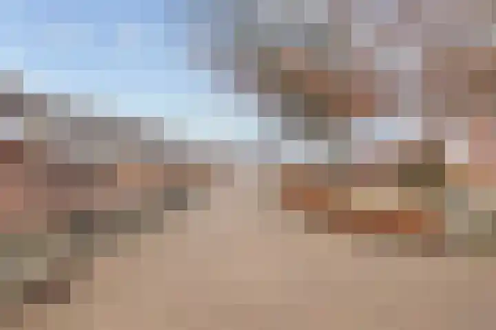 Pegasus 29 Veldhoven thumbnail 45