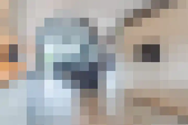 Pegasus 39 Zeewolde thumbnail 20