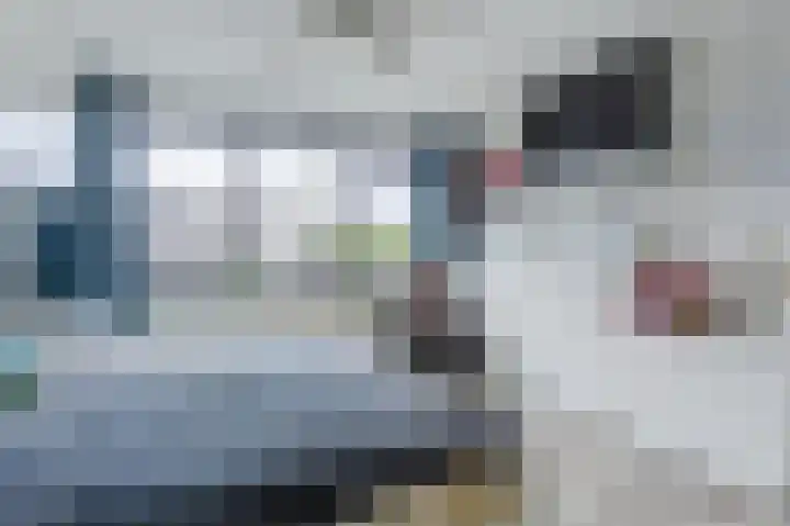 Pegasus 39 Zeewolde thumbnail 22