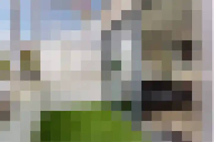 Pegasus 39 Zeewolde thumbnail 38