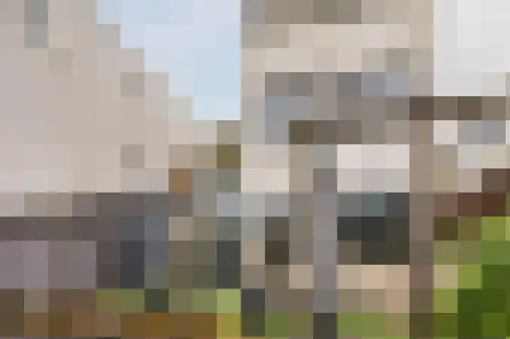 Pegasus 39 Zeewolde thumbnail 42