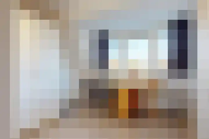 Pegasus 39 Zeewolde thumbnail 7