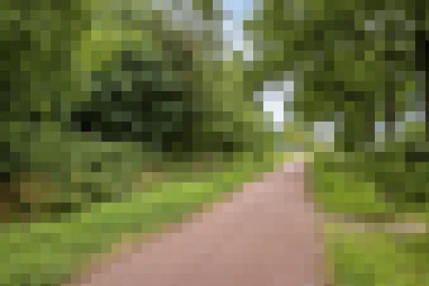 Pegasus 43 Schijndel thumbnail 35