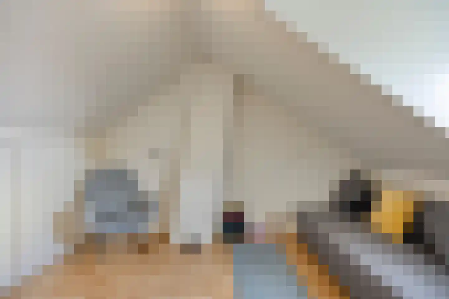 Pegasus 5 Veldhoven thumbnail 21