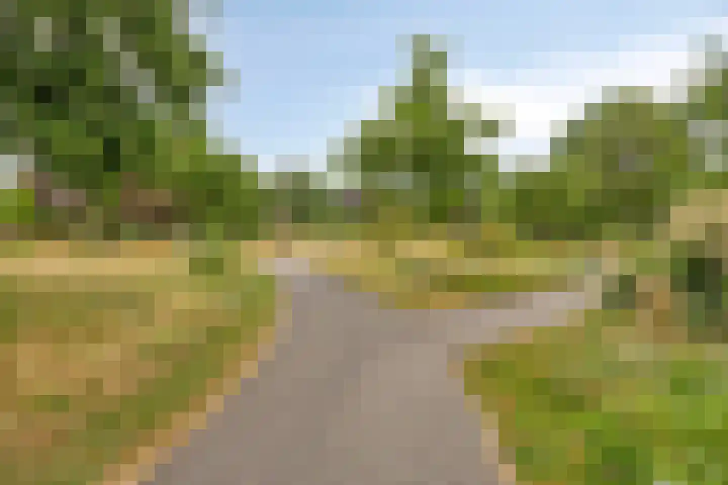 Pegasus 5 Veldhoven thumbnail 26