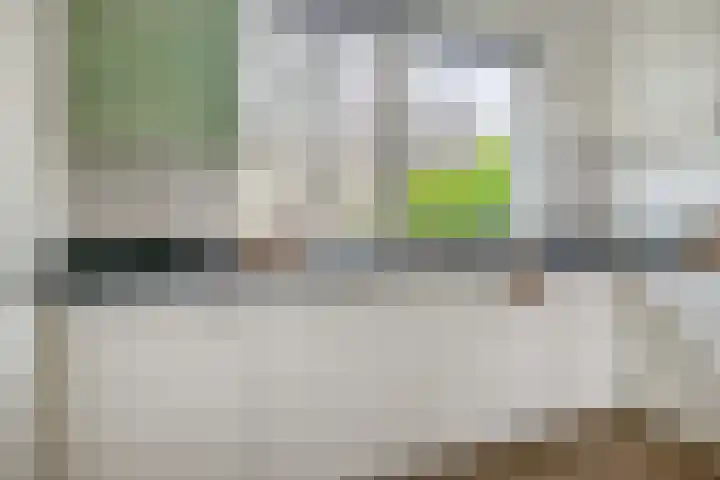 Pegasus 9 Schijndel thumbnail 10