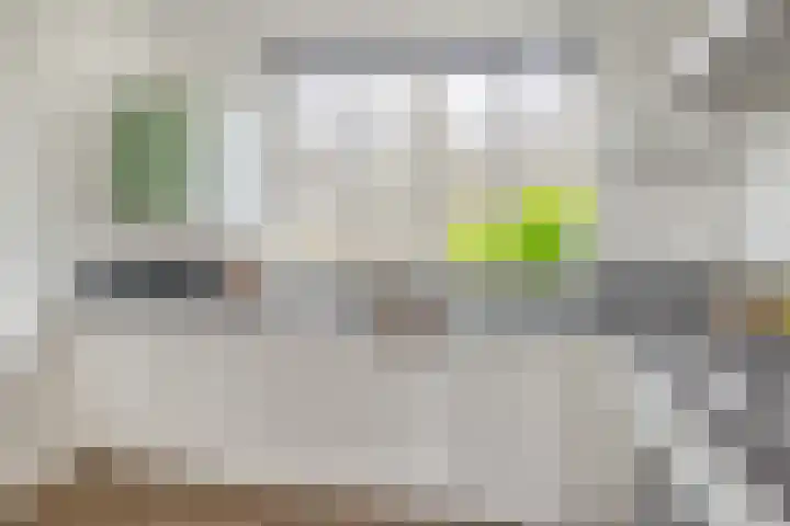 Pegasus 9 Schijndel thumbnail 12