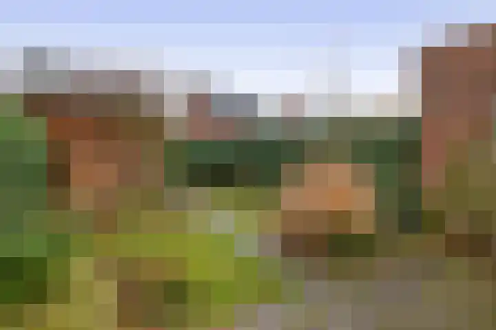 Pegasus 9 Schijndel thumbnail 30