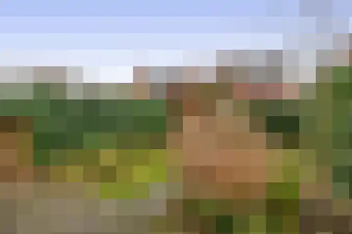 Pegasus 9 Schijndel thumbnail 31