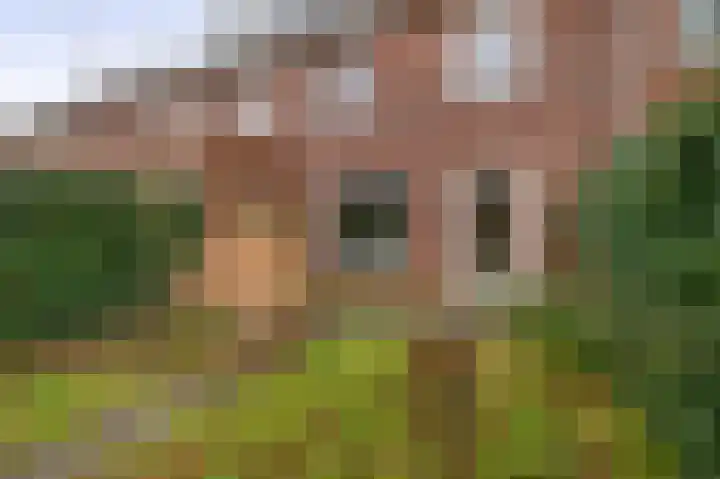 Pegasus 9 Schijndel thumbnail 32