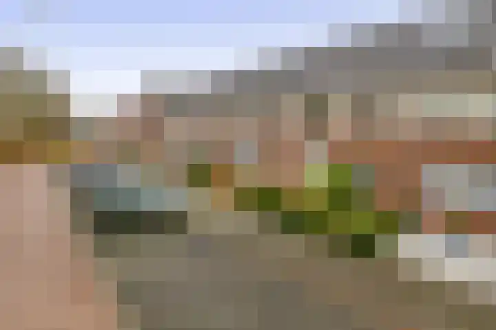 Pegasus 9 Schijndel thumbnail 34
