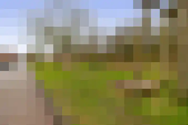 Pegasus 9 Schijndel thumbnail 36