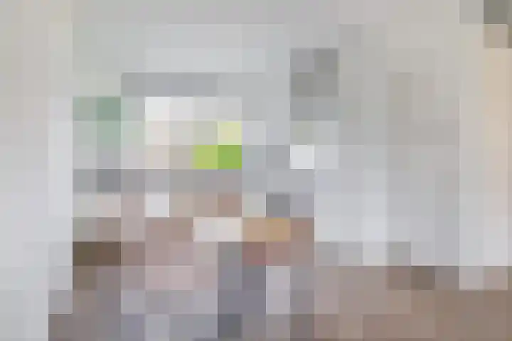 Pegasus 9 Schijndel thumbnail 9