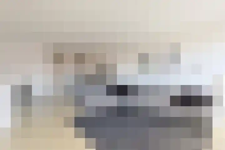 Pegasusstraat 12 Alphen aan den Rijn thumbnail 12
