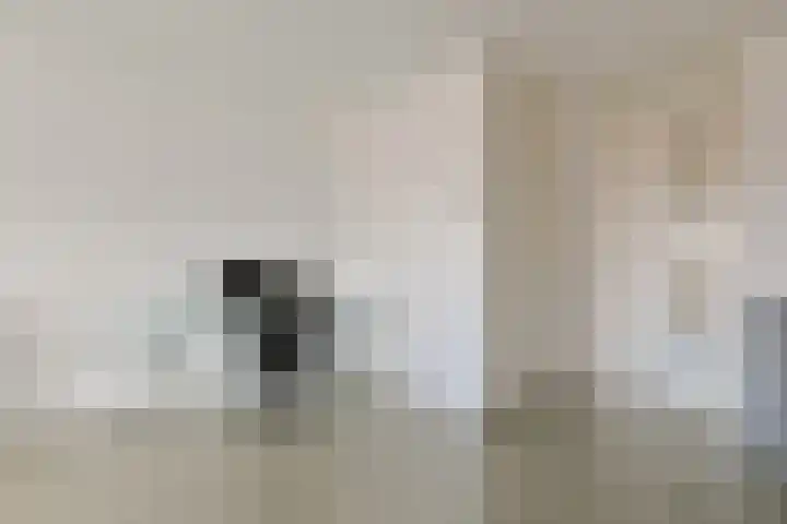 Pegasusstraat 12 Alphen aan den Rijn thumbnail 16