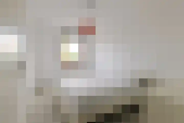 Pegasusstraat 12 Alphen aan den Rijn thumbnail 20