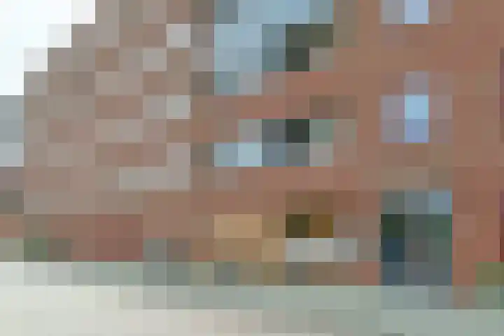 Pegasusstraat 12 Alphen aan den Rijn thumbnail 4