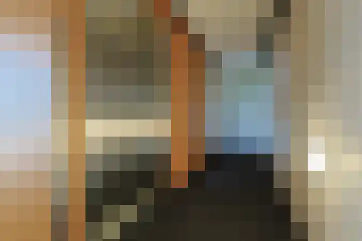Pegasusstraat 12 Alphen aan den Rijn thumbnail 6