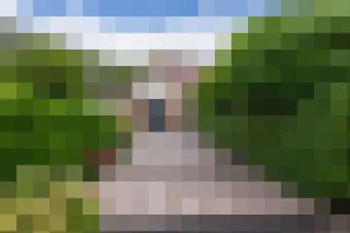 Pegasusstraat 14 Volendam foto 2