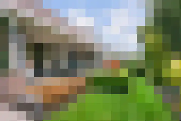 Pegasusstraat 14 Volendam thumbnail 55