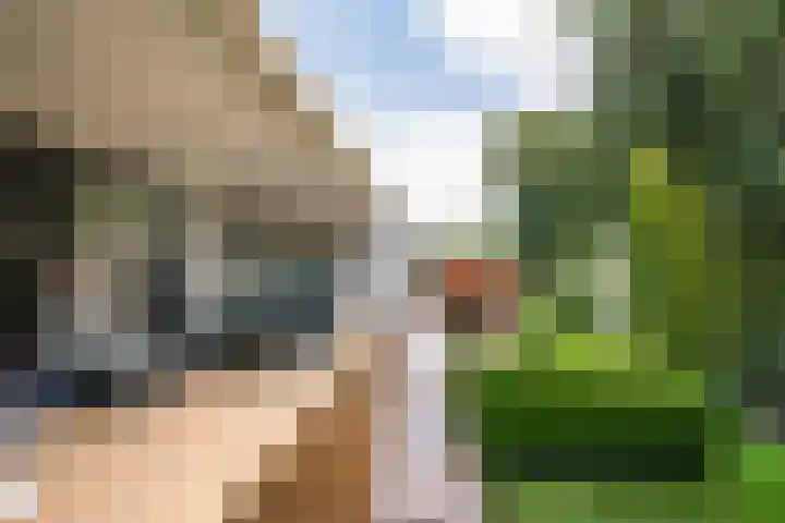 Pegasusstraat 14 Volendam thumbnail 60