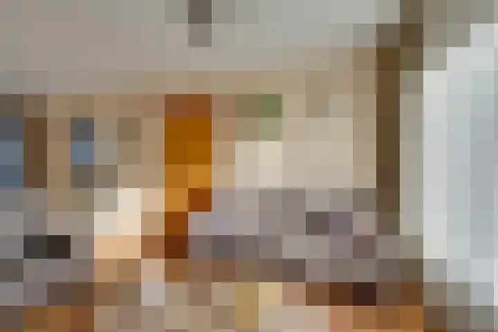 Pegasusstraat 15 Volendam thumbnail 12